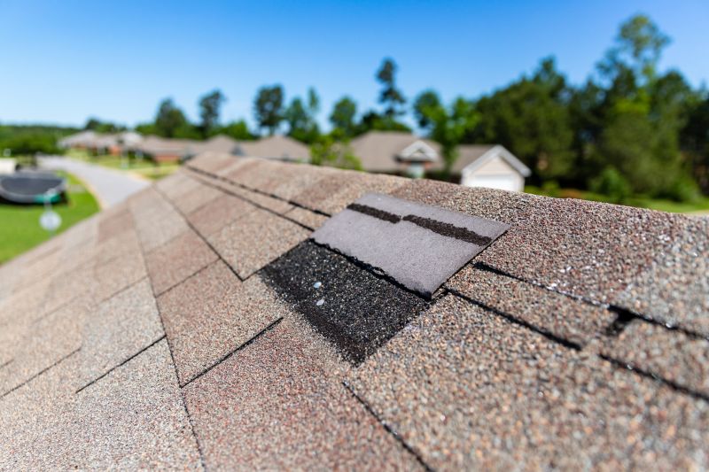 Asphalt Roof Leak Repair in Bailey, CO