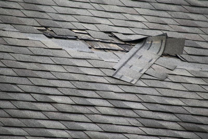 Asphalt Roof Leak Repair in Conifer, CO
