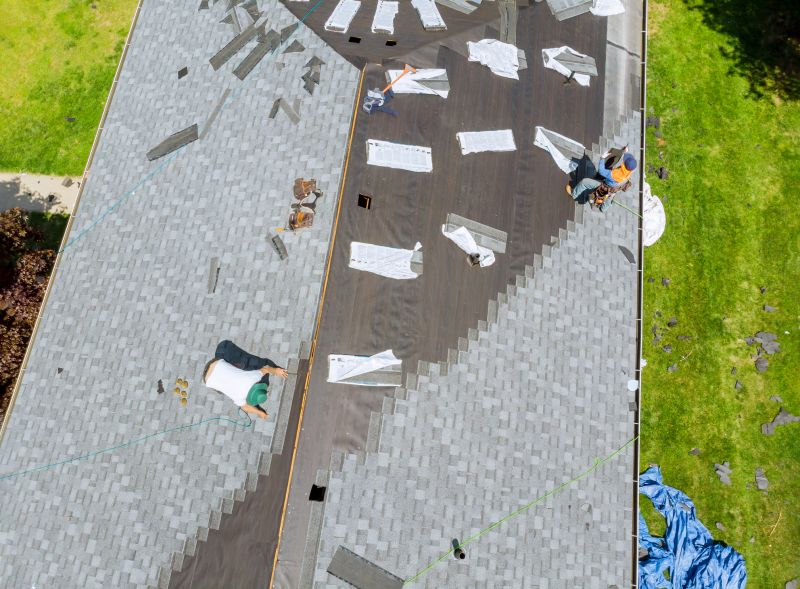 Asphalt Shingles Installation in Nederland, CO