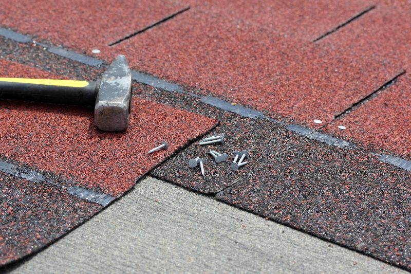 Asphalt Shingles Repair in Conifer, CO