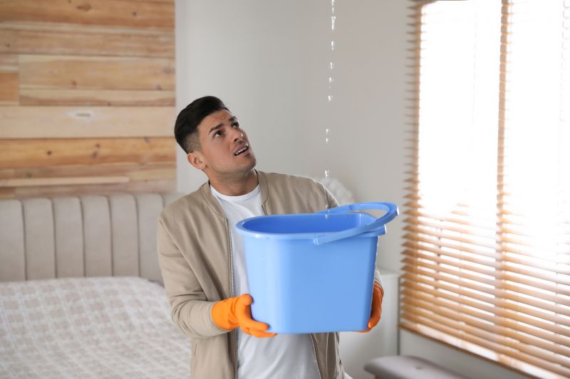 Bedroom Leak Repair in Gilpin County, CO