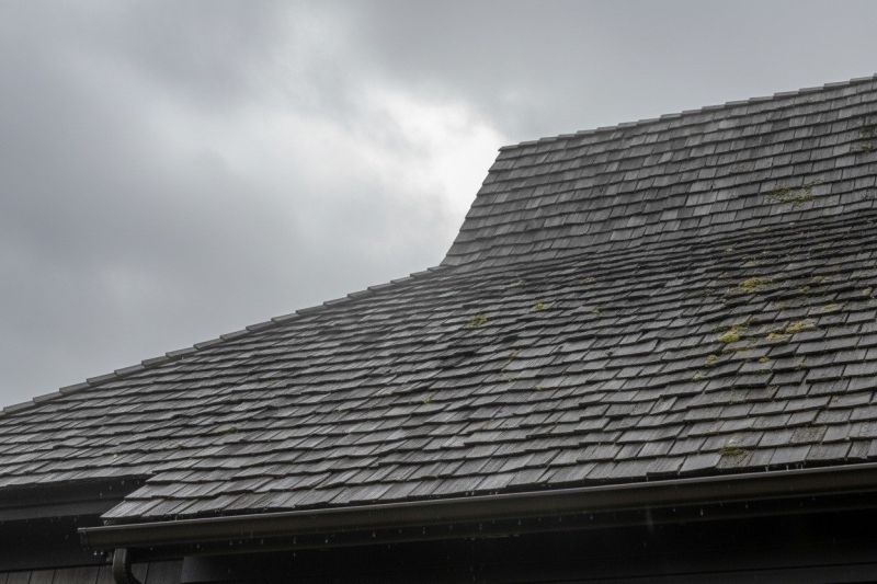 Cedar Roof Replacement in Louisville, CO