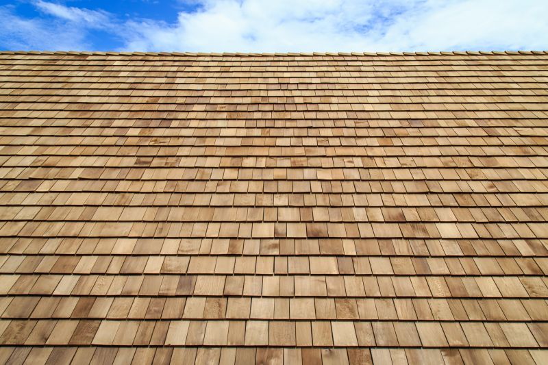 Cedar Shake Roof Construction in Nederland, CO