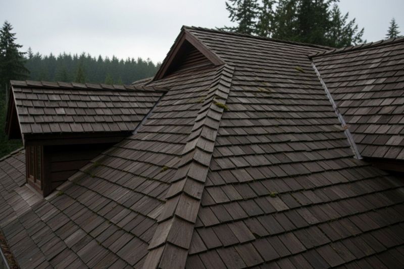 Cedar Shake Roof Replacement in Gilpin County, CO