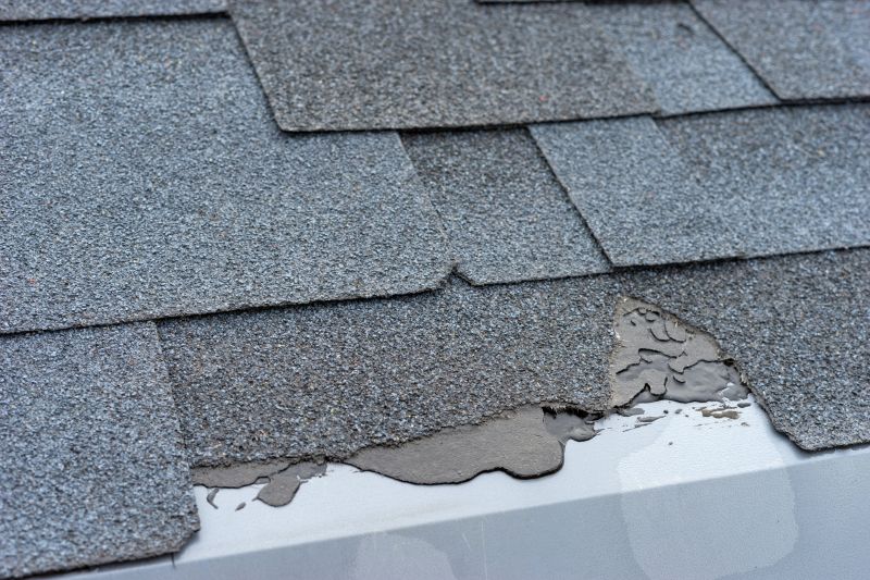 Damaged Roof Repair in Black Hawk, CO