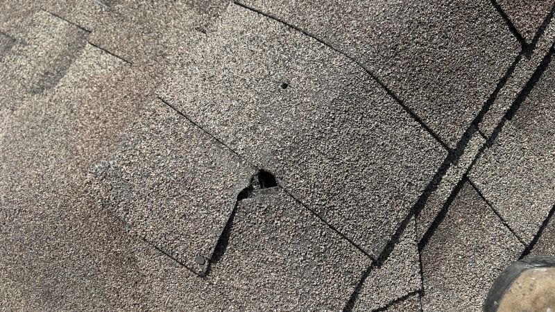 Damaged Roof Repair in Conifer, CO