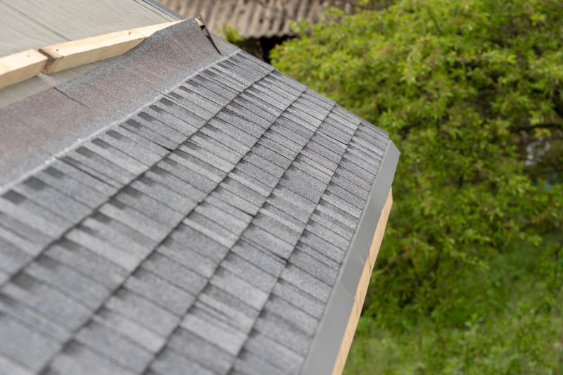 Damaged Roof Repair in Jamestown, CO