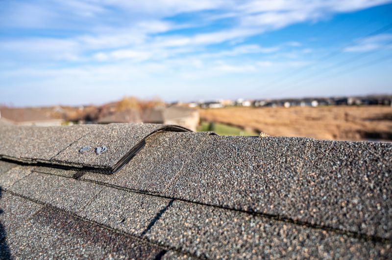 Damaged Roof Repair in Winter Park, CO