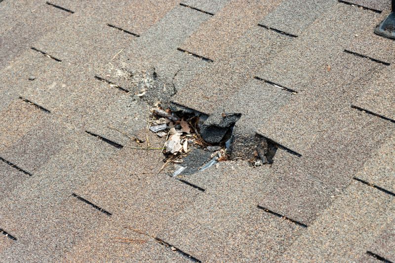 Damaged Roof Replacement in Golden, CO