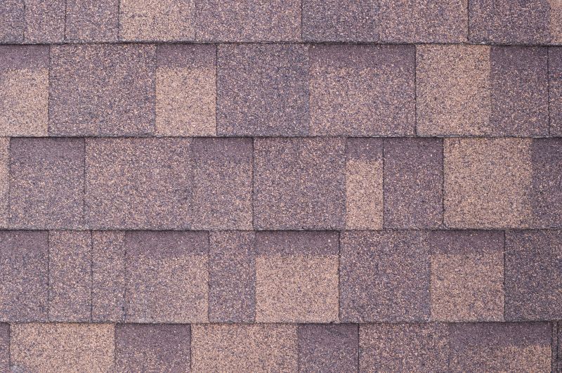 Fiberglass Shingles Repair in Gilpin County, CO