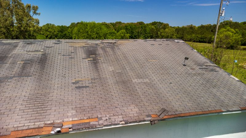 Hail Damage Roof Repair in Bailey, CO