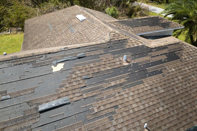 Hail Damage Roof Repair in Jamestown, CO