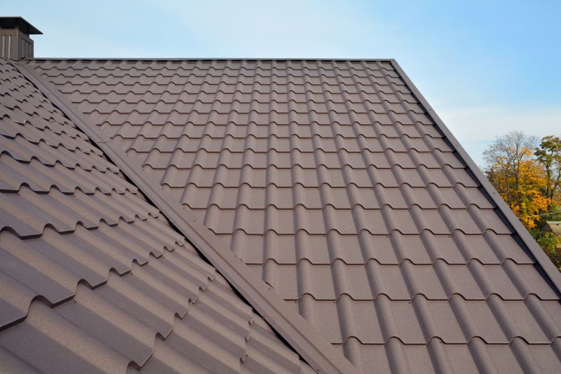 House Roof Installation in Clear Creek County, CO