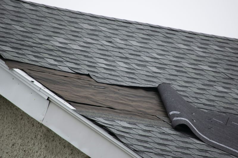 House Roof Repair in Winter Park, CO