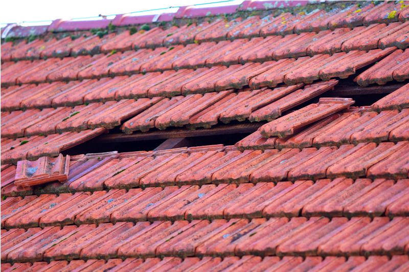 Roof Damage Inspection in Winter Park, CO