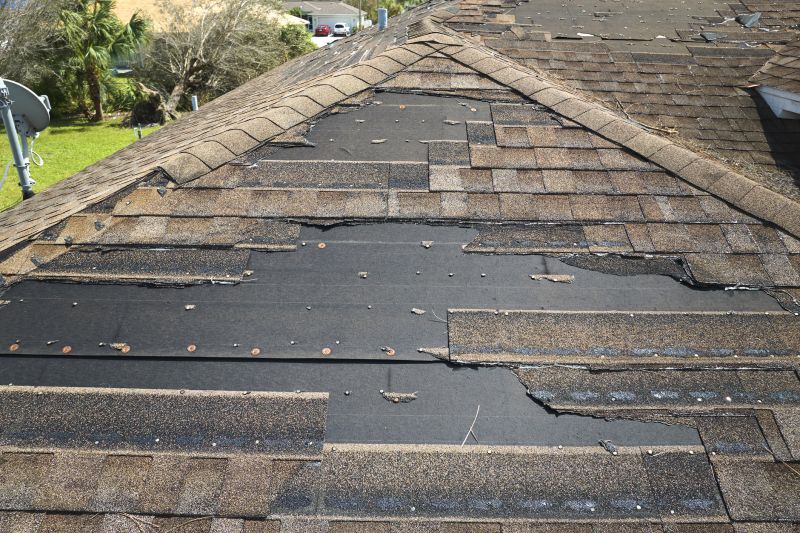 Roof Hail Damage Repair in Gilpin County, CO