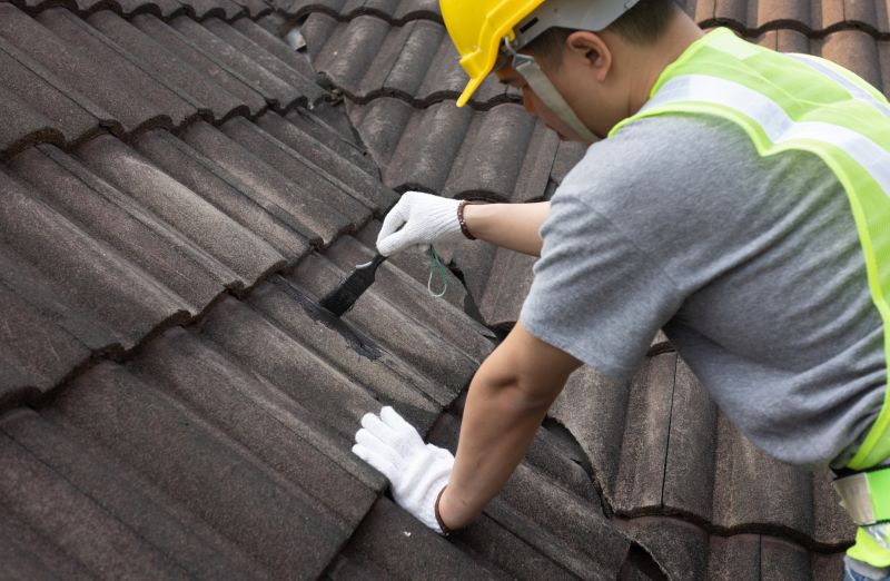 Roof Patching Service in Gilpin County, CO