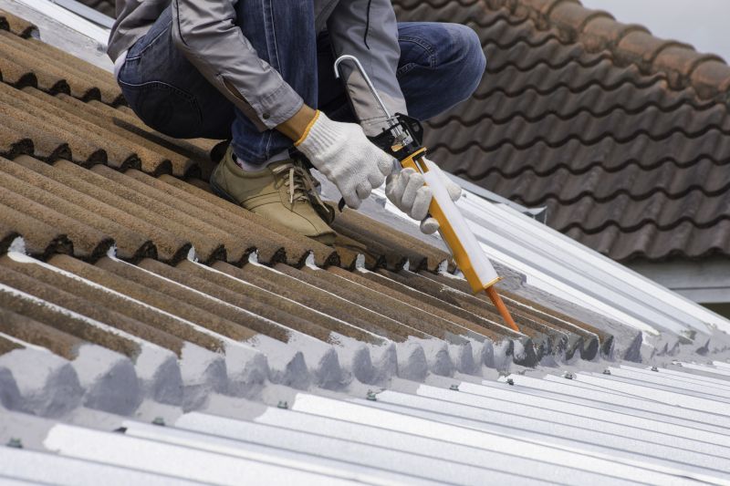 Roof Sealing in Nederland, CO