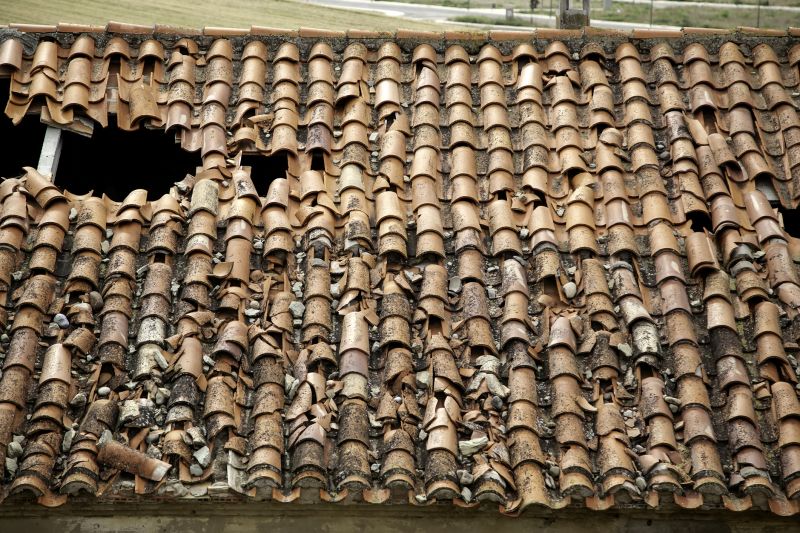 Roofing Evaluation in Louisville, CO