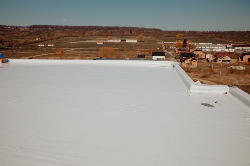 Rubber Roof Repair in Nederland, CO
