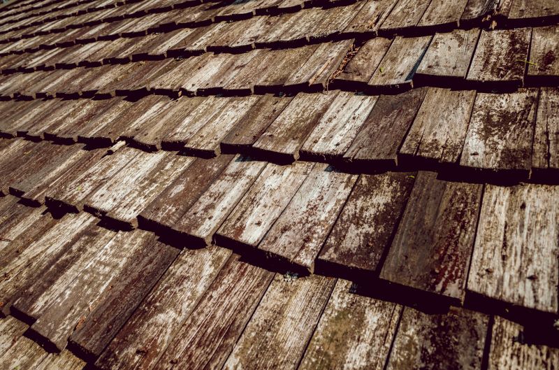 Shake Roof Replacement in Park County, CO