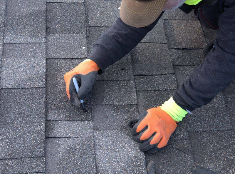 Shingles Repair in Nederland, CO