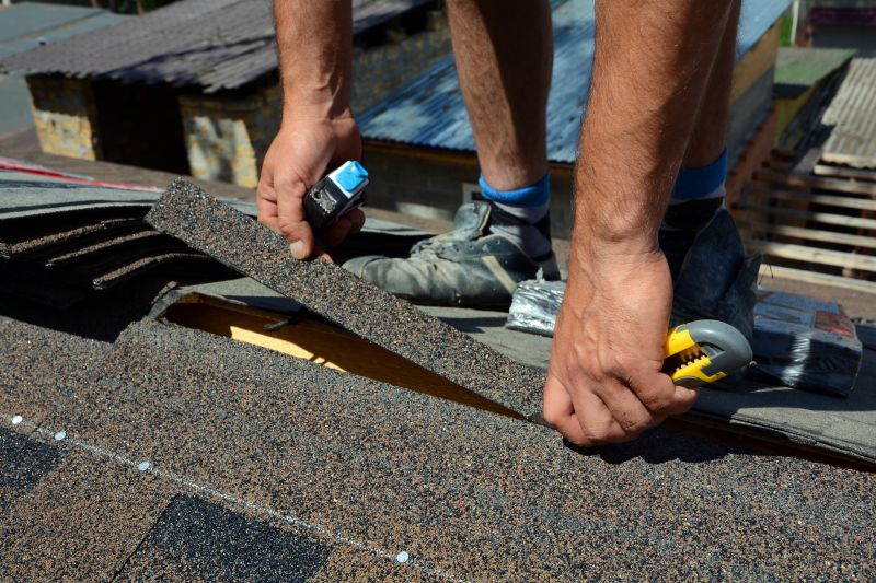 Shingles Repair in Nederland, CO