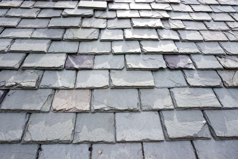 Slate Roof Repair in Bailey, CO