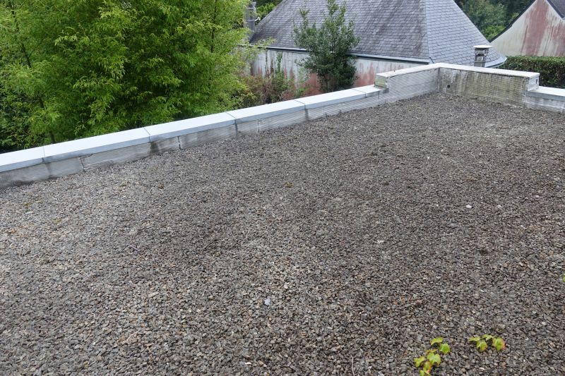 Tar And Gravel Roof Repair in Black Hawk, CO