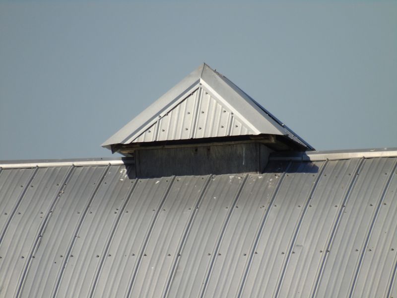Tin Roof Installation in Black Hawk, CO