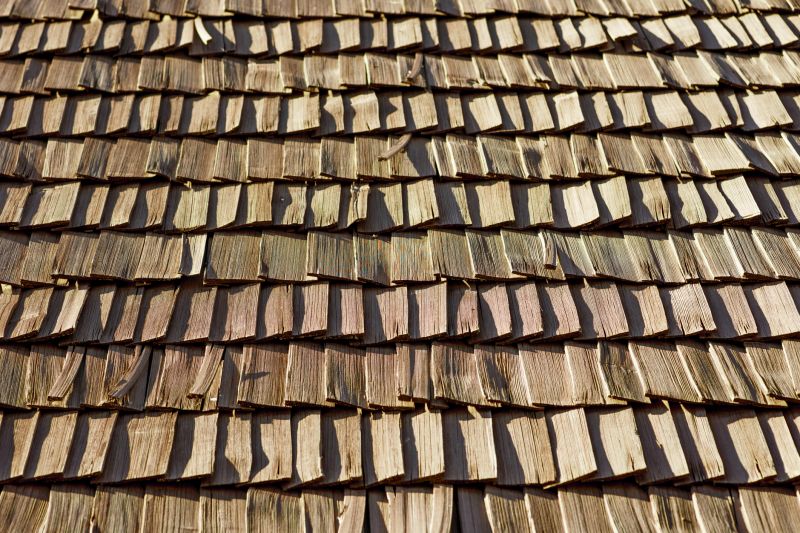 Wood Shake Roof Replacement in Conifer, CO