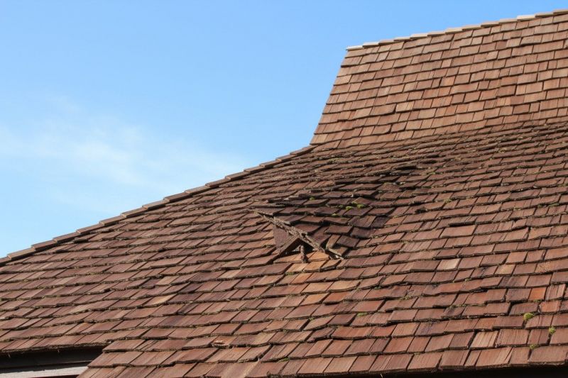 Wood Shake Roof Replacement in Nederland, CO